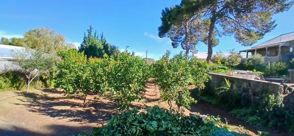1 064 m² Land