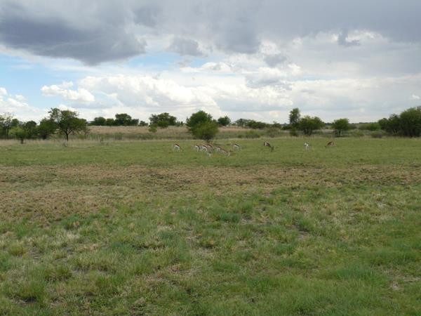 650 m² Land