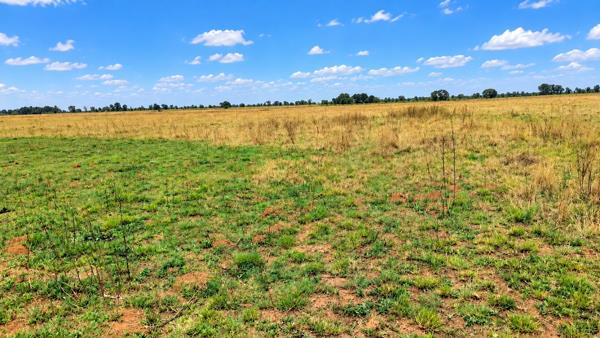 3.6 ha Farm