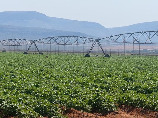 408 ha Agricultural Holding