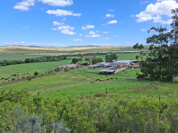 96 ha Farm