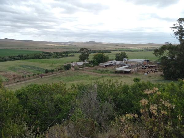 96 ha Farm