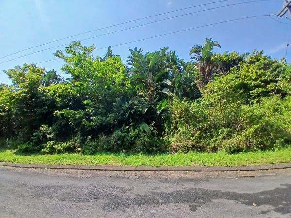 1 355 m² Land