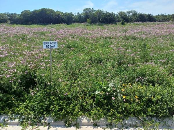 853 m² Land