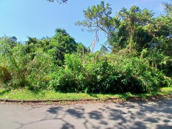 1 856 m² Land