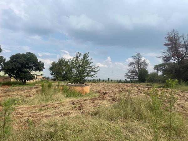 6 994 m² Land