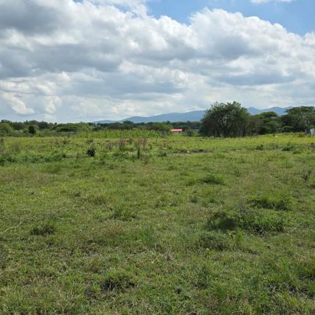 1 050 m² Land