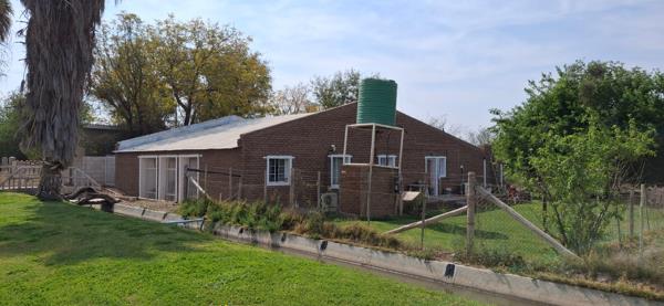 9 700 m² Smallholding