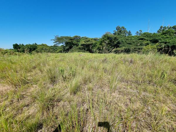 998 m² Land