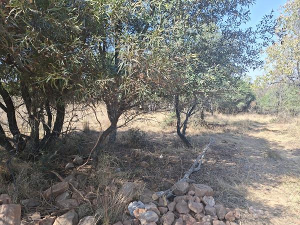 2 038 m² Land