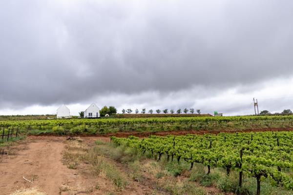 11.1 ha Farm with House