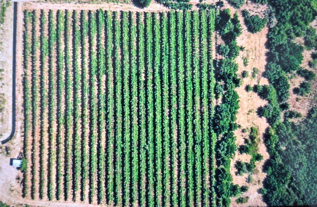 1.2 ha Land