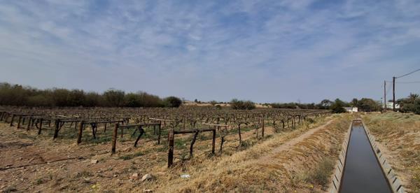 1.2 ha Land