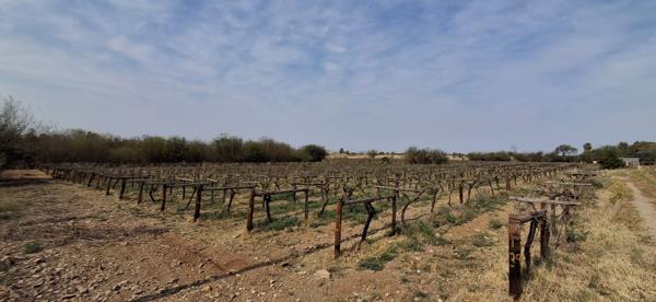 1.2 ha Land