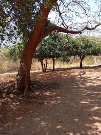 879 m² Land