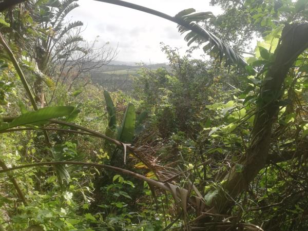 1 670 m² Land