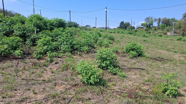 461 m² Land