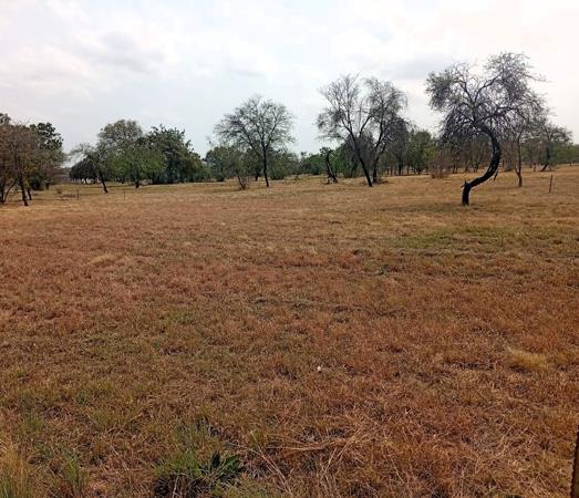 605 m² Land