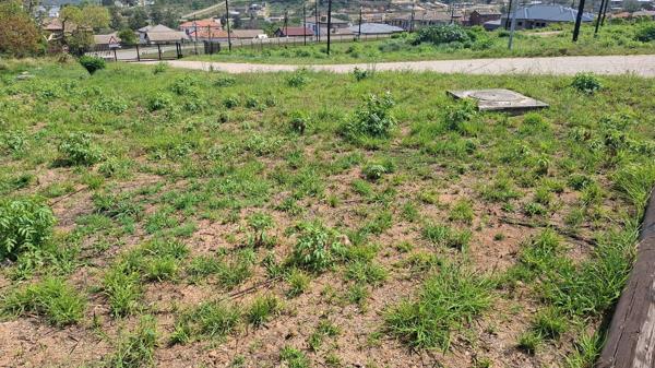 273 m² Land