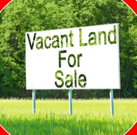 259 m² Land