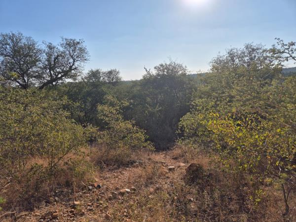 2 629 m² Land