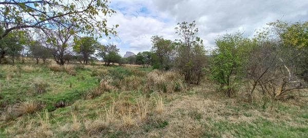 25.8 ha Farm