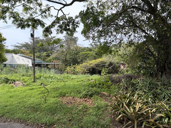 1 176 m² Land