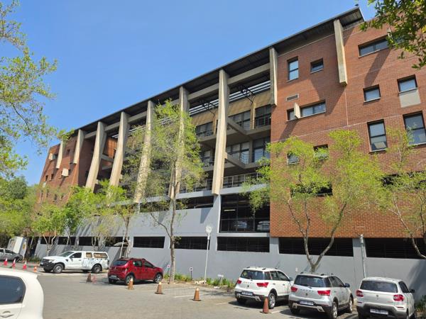 175 m² Commercial space