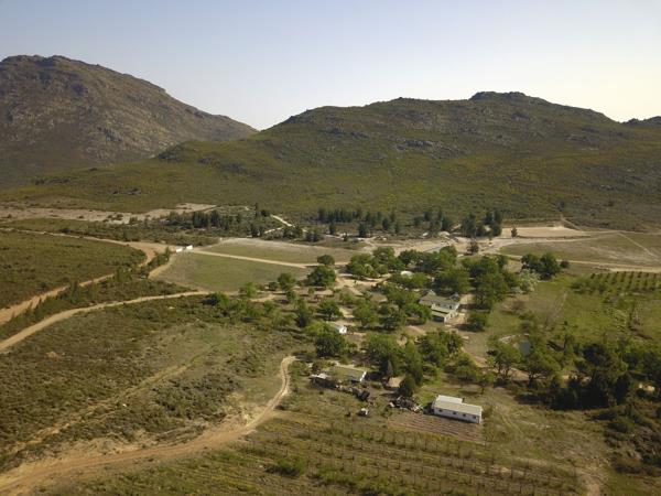 582 ha Farm with House