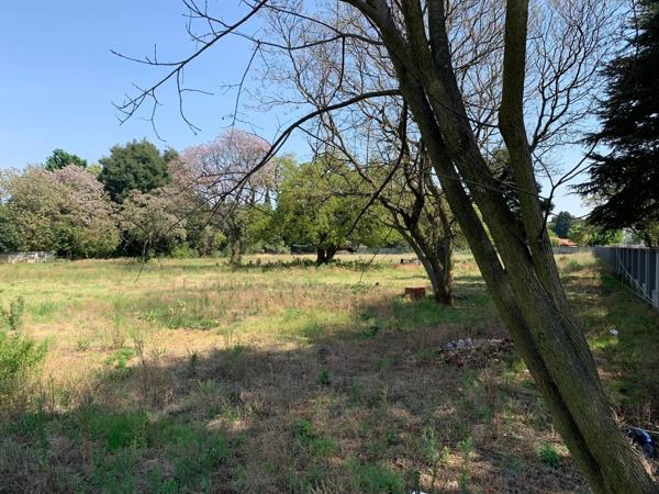 1.2 ha Land