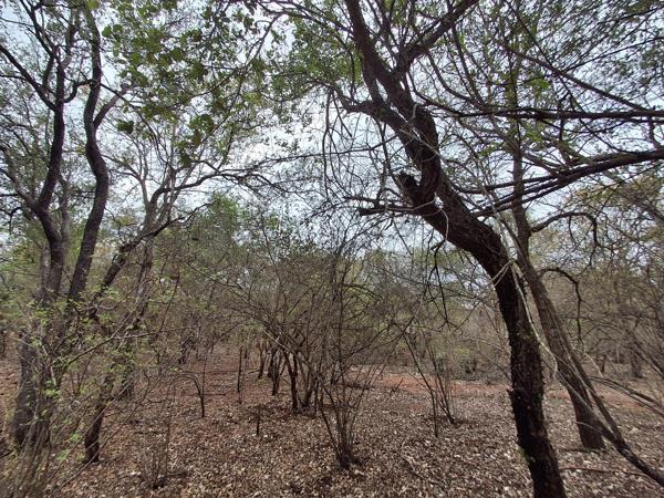 1 500 m² Land