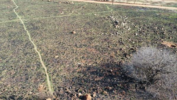 1 ha Land