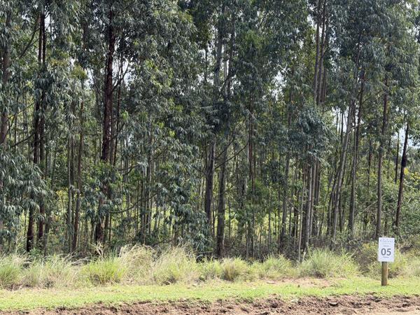 1 089 m² Land