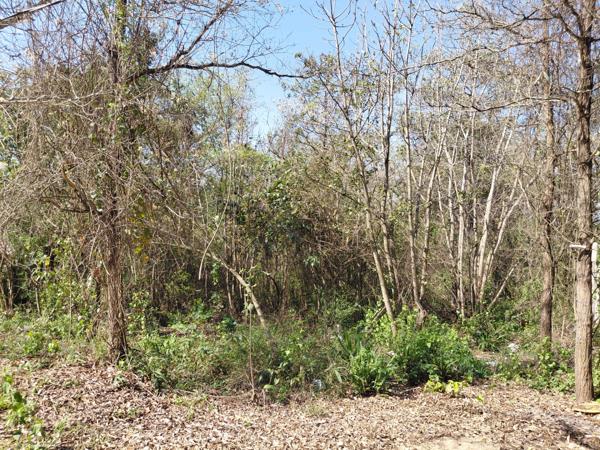 909 m² Land