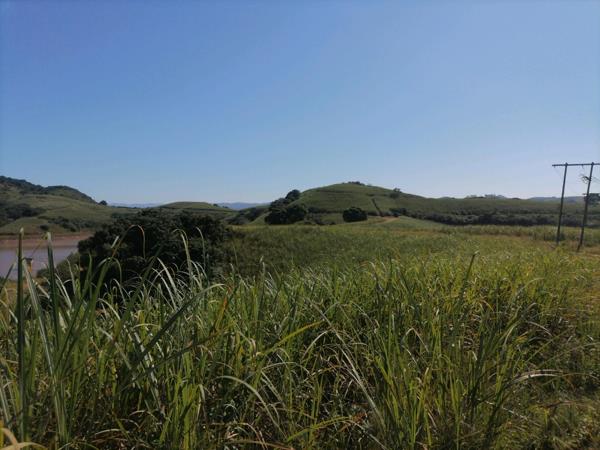 214 082 ha Smallholding
