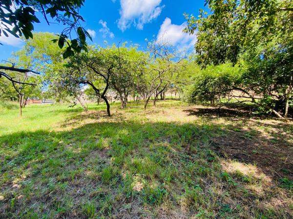 1 385 m² Land