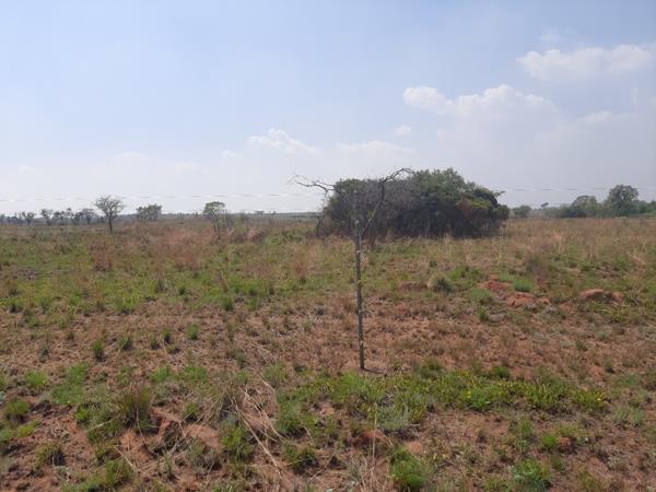 1 ha Land