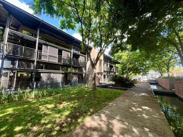 240 m² Commercial space