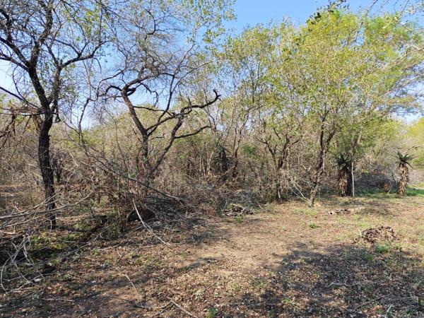 2 305 m² Land