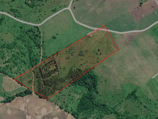8.1 ha Land