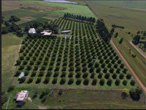 5 ha Farm
