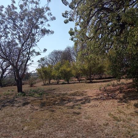 342.6 ha Farm