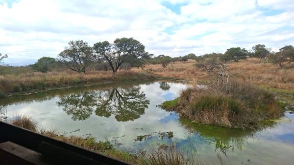 117.3 ha Farm