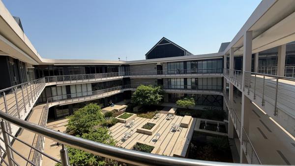 323 m² Office Space