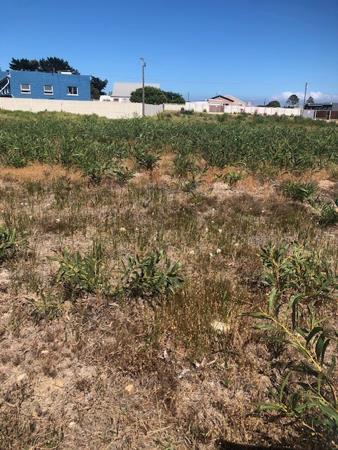 981 m² Land