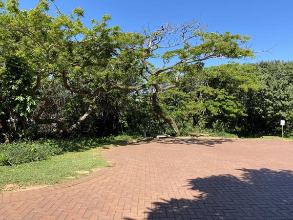 1 323 m² Land