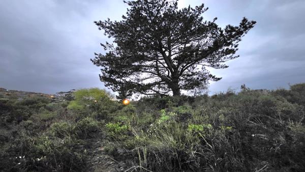 709 m² Land