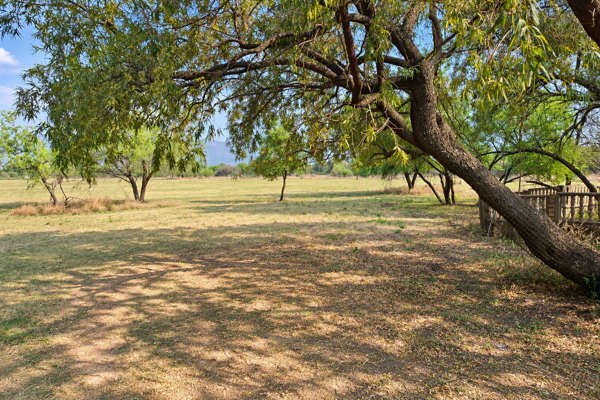 6 ha Smallholding