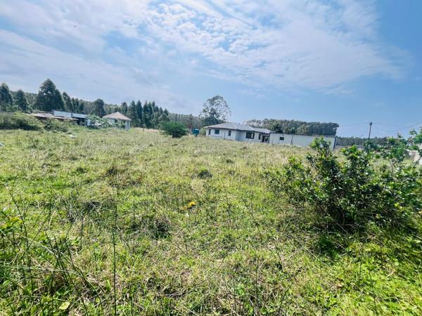 50 m² Land