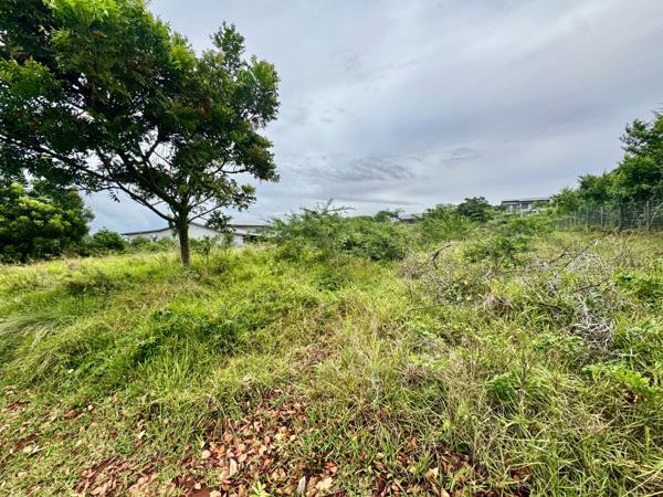 1 648 m² Land